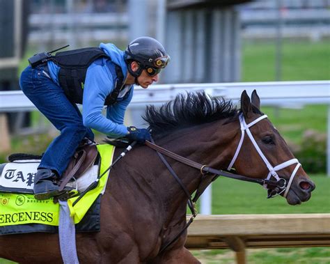 kentucky derby morning line odds|Live 2024 Kentucky Derby odds: Fierceness 3.